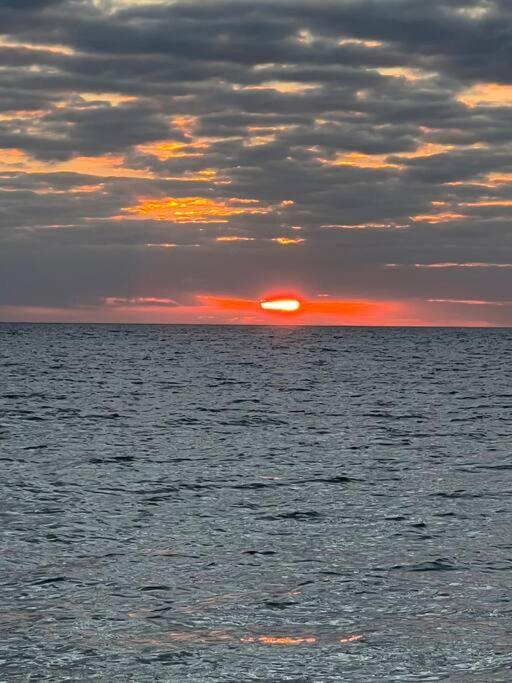 Amazing Water Front View Home Newly Renovated 3Bd 2Bth Clearwater Beach Eksteriør billede