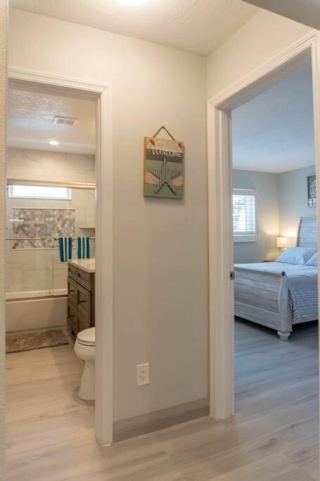 Amazing Water Front View Home Newly Renovated 3Bd 2Bth Clearwater Beach Eksteriør billede