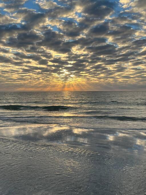 Amazing Water Front View Home Newly Renovated 3Bd 2Bth Clearwater Beach Eksteriør billede